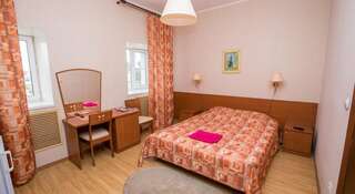 Гостиница Сура Пенза Двухместный номер с 1 кроватью-1